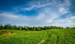 Subdividing Land